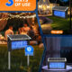 LANGY 20W Solar Mosquito Killer Lamp | Upgraded Bug Zapper for Indoor & Outdoor